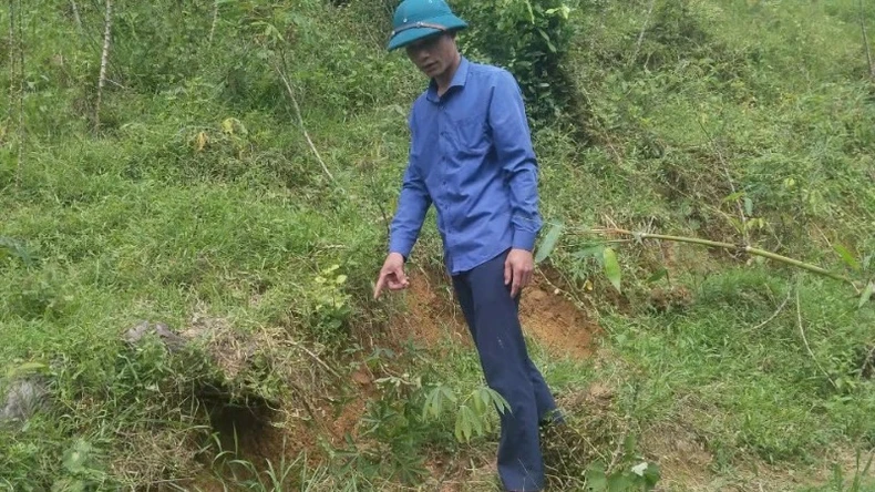 Quảng Bình di dời khẩn cấp khẩn cấp 13 hộ dân do nguy cơ lở núi ảnh 2