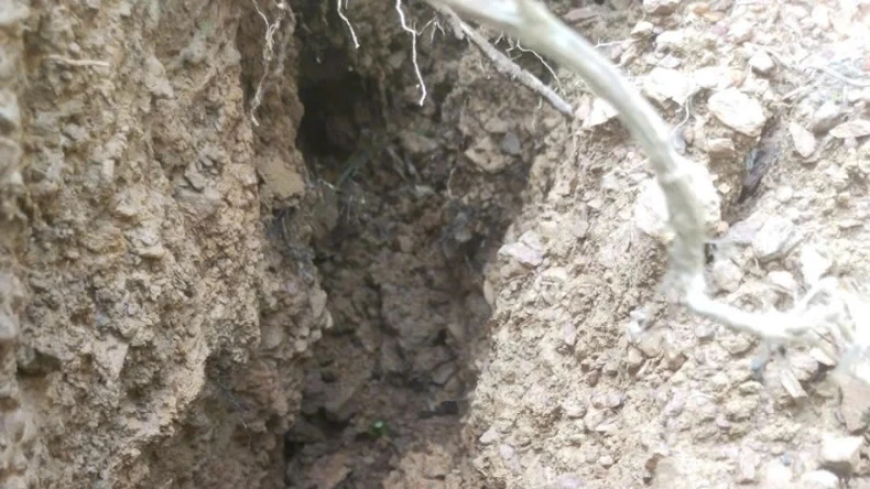 Quảng Bình di dời khẩn cấp khẩn cấp 13 hộ dân do nguy cơ lở núi ảnh 3