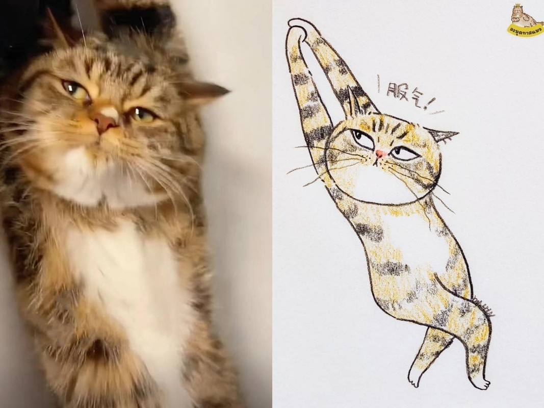 Loạt meme mèo “xấu đau xấu đớn” khiến netizen phải lưu về liền tay - Hình 3 Loat meme meo “xau dau xau don” khien netizen phai luu ve lien tay-Hinh-3