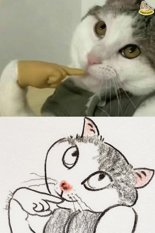 Loạt meme mèo “xấu đau xấu đớn” khiến netizen phải lưu về liền tay - Hình 9 Loat meme meo “xau dau xau don” khien netizen phai luu ve lien tay-Hinh-9