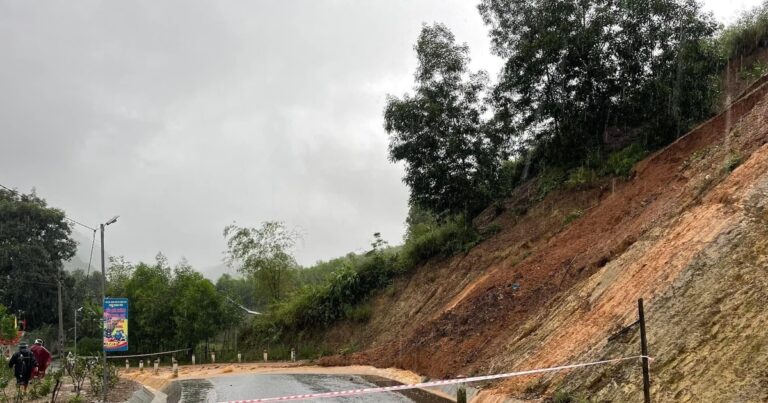 Chủ động ứng phó với bão số 8