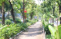 Ảnh minh họa: Ngọc Nga