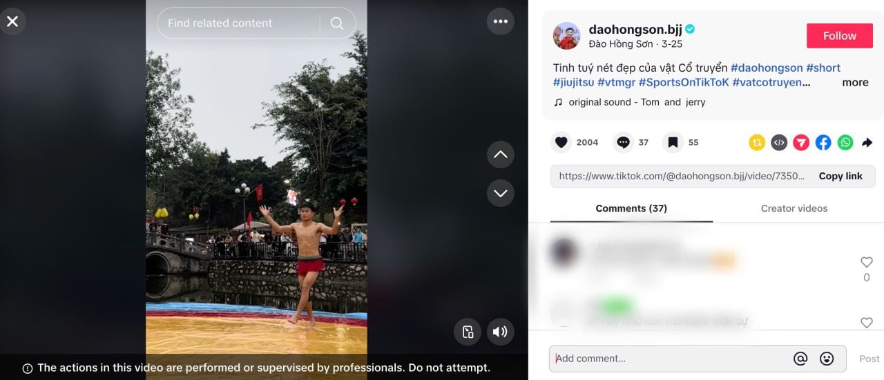 TikTok Awards Việt Nam 2024 ghi nhận sự thăng hoa của những tài năng sáng tạo nội dung