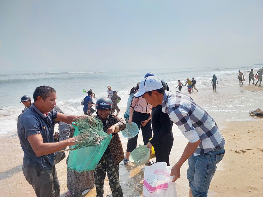 Nhiều người huy động các thành viên trong gia đình cùng đi bắt sò huyết.