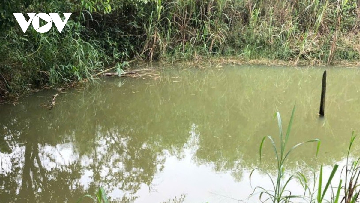 Quảng Bình: Ngã xuống ao cá gần nhà, cháu bé đuối nước tử vong - Ảnh 1. Quảng Bình: Ngã xuống ao cá gần nhà, cháu bé đuối nước tử vong - Ảnh 1.