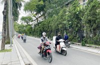 Ảnh minh họa: Ngọc Nga