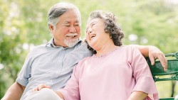 Những ai được nghỉ hưu trong các tháng 10, 11, 12 năm 2024? Những ai được nghỉ hưu trong các tháng 10, 11, 12 năm 2024?