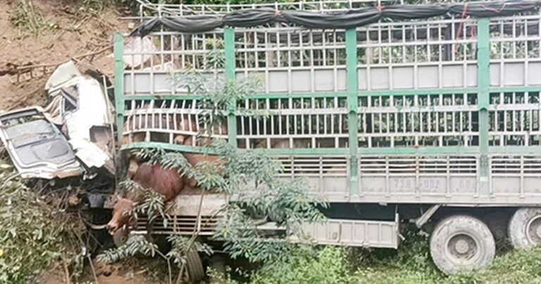 Xe tải chở bò mất lái lao vào vách núi, tài xế tử vong