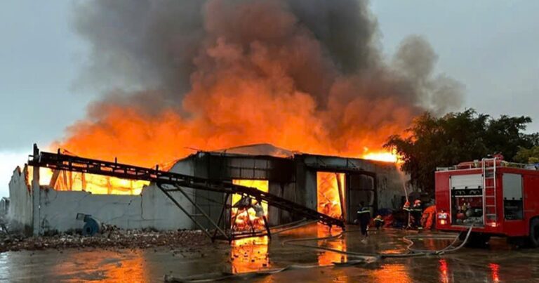 Cháy nhà xưởng sản xuất bột cá rộng 1.600 mét vuông