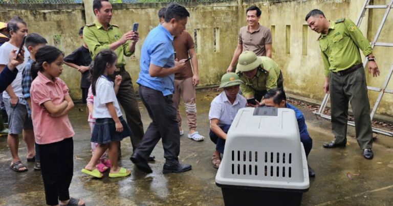 Bắt được cá thể voọc tấn công người ở Phong Nha