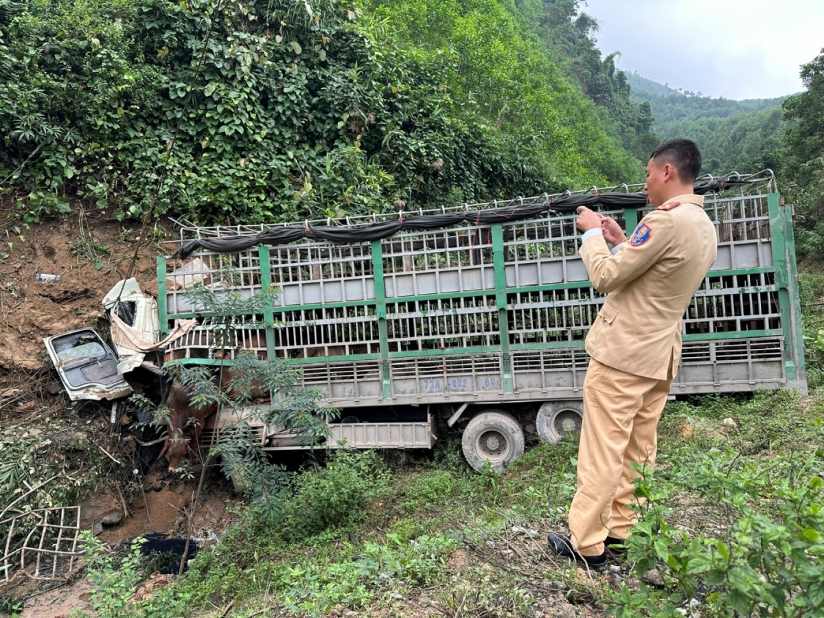 quang binh xe tai cho 34 con bo lao xuong vuc, tai xe tu vong hinh anh 1