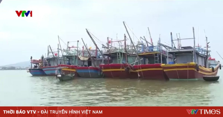 Quảng Bình: Quyết liệt giám sát tàu cá trên biển trong nỗ lực gỡ thẻ vàng thủy sản