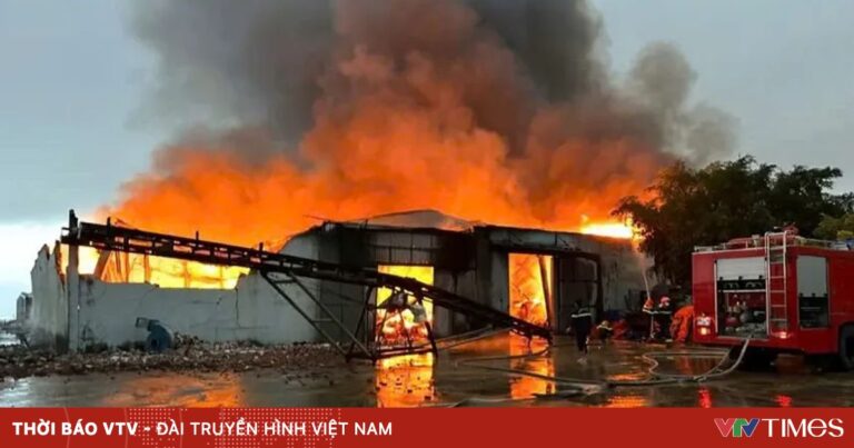 Cháy lớn xưởng sản xuất thức ăn chăn nuôi ở Quảng Bình, thiệt hại gần 100 tỷ đồng