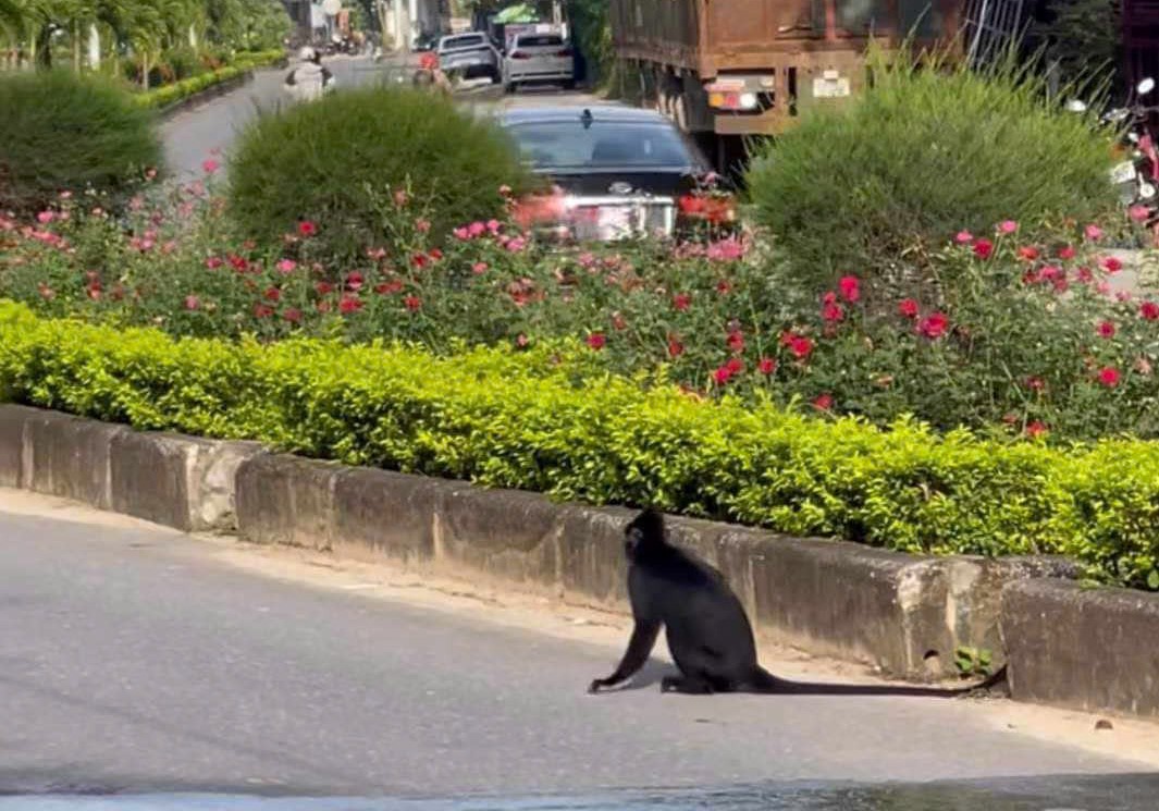 Diễn biến mới vụ Diễn biến mới vụ