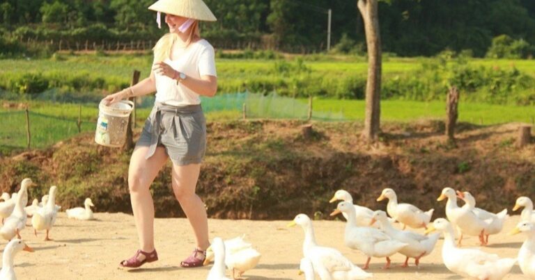 Khách Tây chi 100.000 đồng làm “thủ lĩnh chăn vịt” ở Quảng Bình