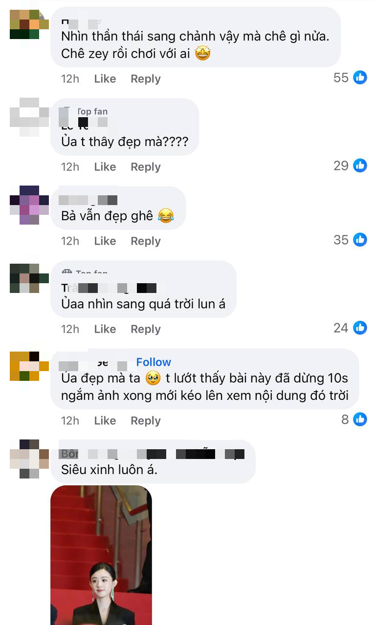 Triệu Lệ Dĩnh bị xứ tỷ dân chê, netizen Việt liền bênh ngay- Ảnh 13. Triệu Lệ Dĩnh bị xứ tỷ dân chê, netizen Việt liền bênh ngay- Ảnh 13.