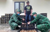 Lực lượng chức năng kiểm đếm gà, vịt con giống