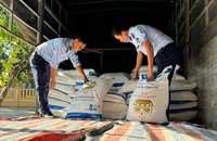 Lực lượng chức năng tỉnh Phú Yên kiểm tra hàng hoá vi phạm.