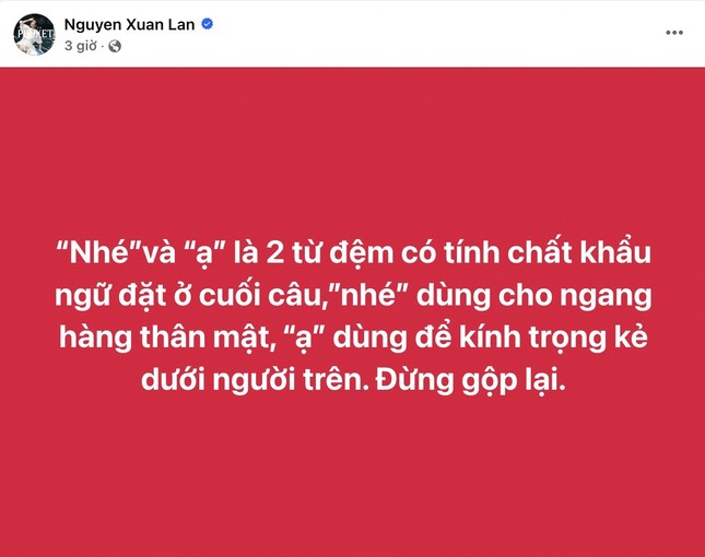 Netizen tranh cãi khi siêu mẫu Xuân Lan liên tục bắt bẻ bài viết của người khác ảnh 1