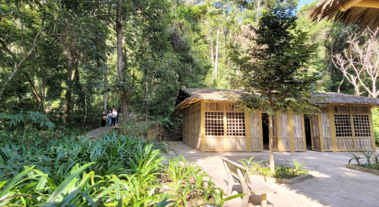 Người đội trưởng Đội Việt Nam Tuyên truyền giải phóng quân