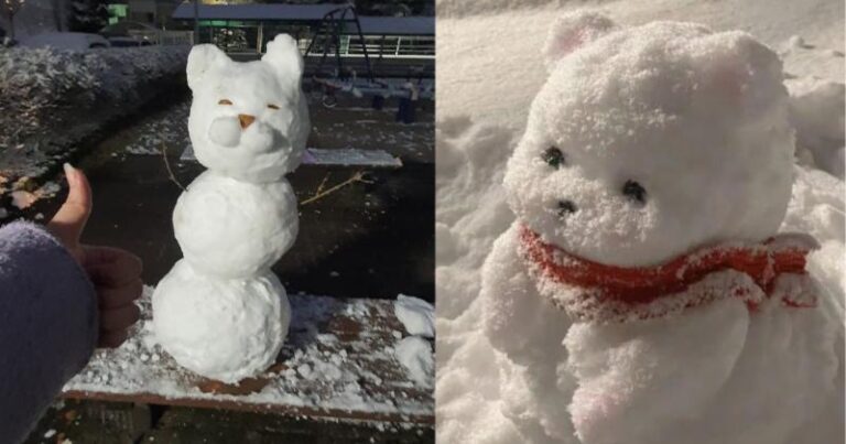 Ngắm nhìn những ‘cực phẩm’ nhân ngày tuyết đầu mùa của netizen Hàn Hàn