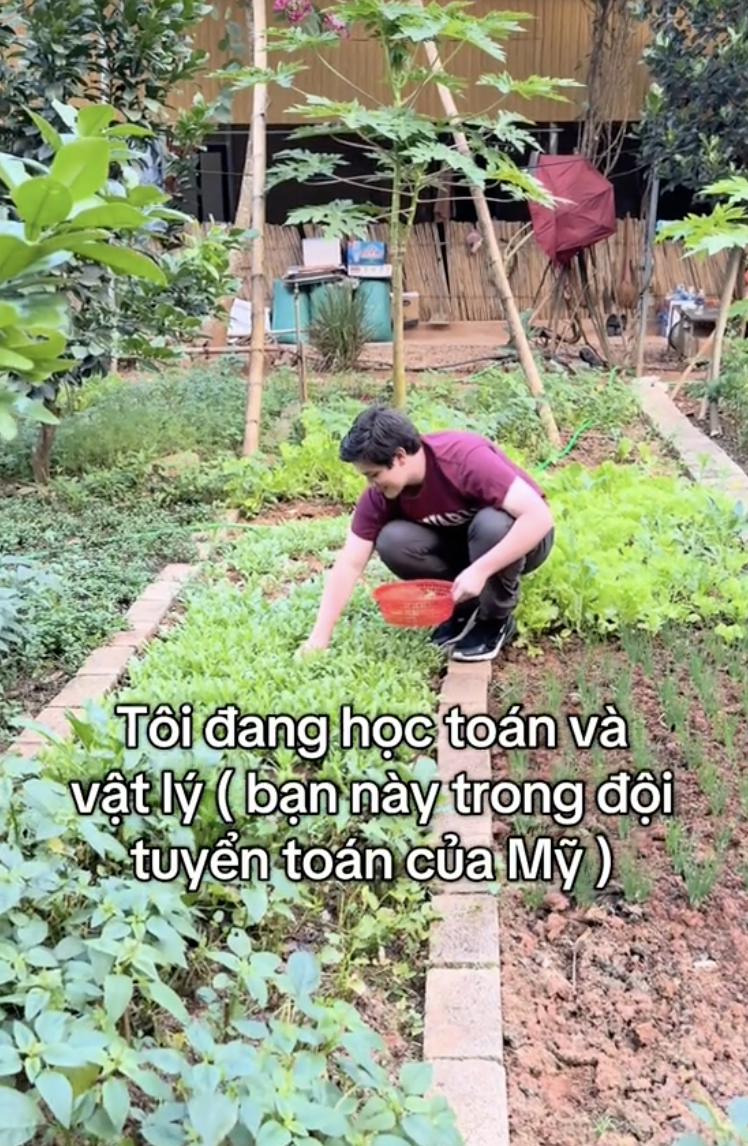 Ở nước ngoài học Harvard sang Việt Nam vẩy rau, rửa bát, netizen chốt: Về khoản này, tôi tự tin mình giỏi hơn họ!- Ảnh 2. Ở nước ngoài học Harvard sang Việt Nam vẩy rau, rửa bát, netizen chốt: Về khoản này, tôi tự tin mình giỏi hơn họ!- Ảnh 2.