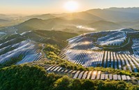 Các tấm quang điện được thiết lập ở độ cao cao hơn. (Ảnh: Interesting Engineering) 