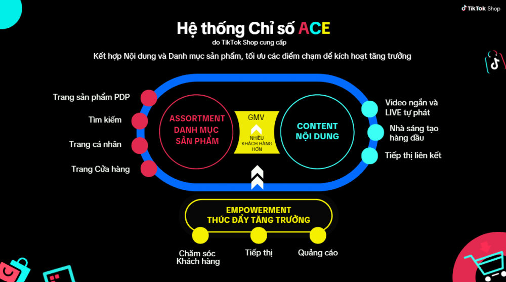  hệ thống chỉ số ACE của TikTok Shop