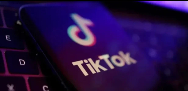 Phạt TikTok vì lan truyền thử thách gây chết người- Ảnh 1.