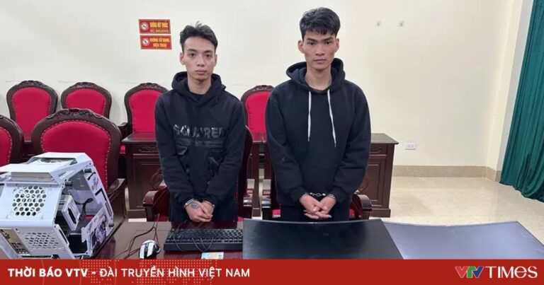 Rủ làm Tiktok kiếm tiền, 2 thanh niên lừa gần 4 tỷ đồng của một phụ nữ