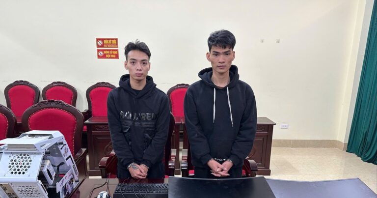 Rủ làm Tiktok kiếm tiền, 2 thanh niên lừa gần 4 tỉ đồng của một phụ nữ