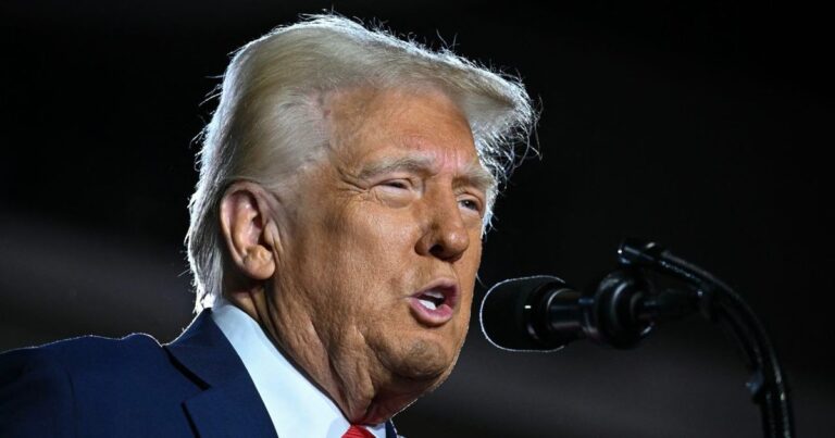 Ông Trump: Số phận TikTok tại Mỹ sẽ được quyết định trong 30 ngày tới