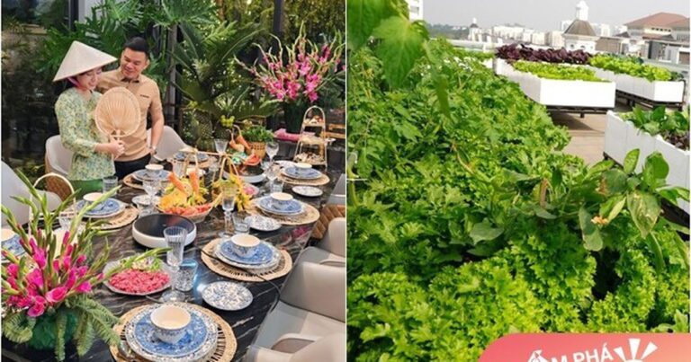 Á hậu là “phú bà” hot TikTok có biệt thự đẹp lộng lẫy, nhìn vườn rau “ngon nhức nách” mà mê