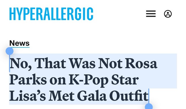 LV phản hồi tranh cãi trang phục nhạy cảm của Lisa, netizen vẫn tức giận ảnh 3