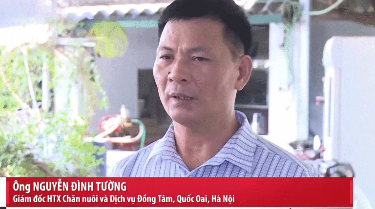 100% không có lòng se điếu