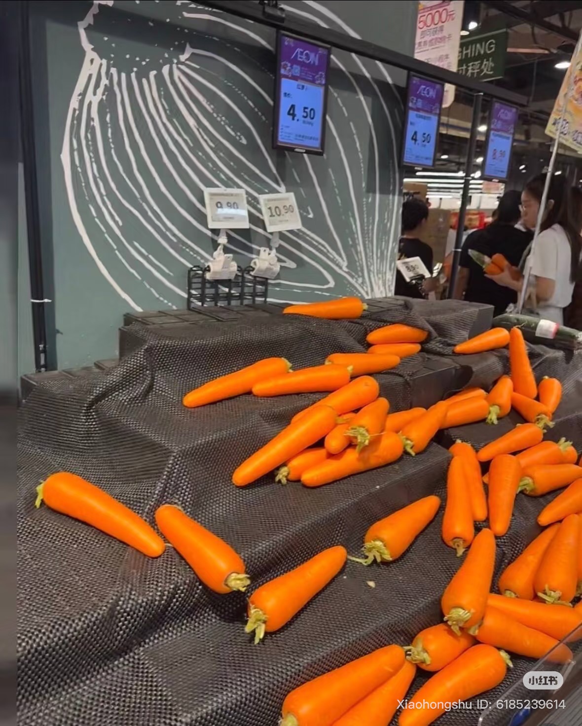 Siêu thị Trung Quốc trước siêu bão Ragasa: Kệ hàng trống trơn nhưng 3 loại rau vẫn Siêu thị Trung Quốc trước siêu bão Ragasa: Kệ hàng trống trơn nhưng 3 loại rau vẫn