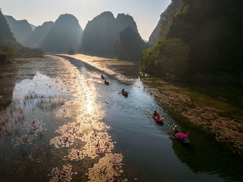 hoa súng ở Ninh Bình