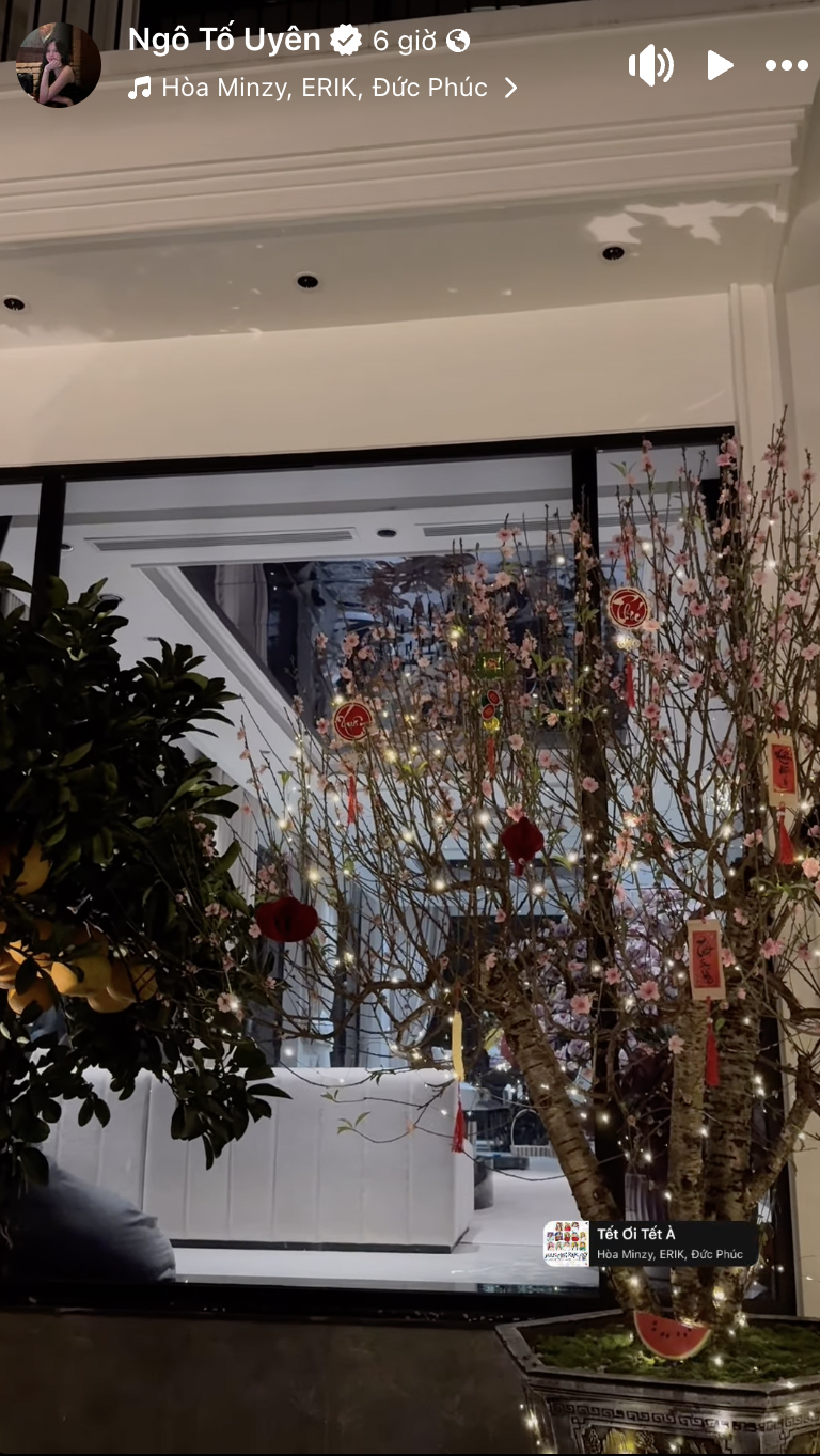 Biệt thự nhà Thành Chung và hotgirl Tuyên Quang lộng lẫy, rực rỡ không khi Tết, cuộc sống hôn nhân khiến netizen chỉ biết ước- Ảnh 2.